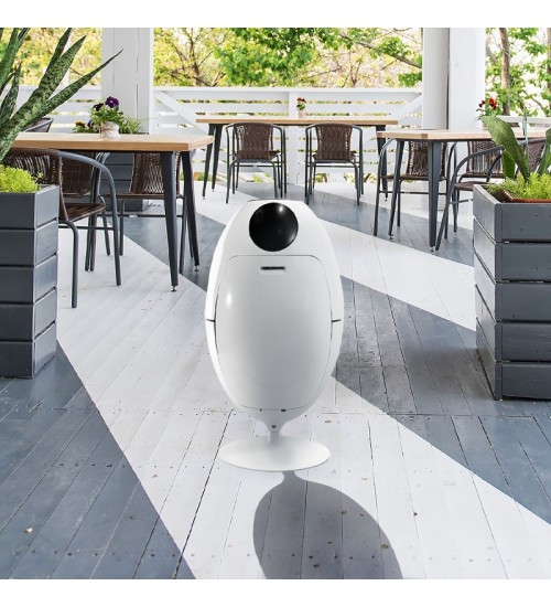 Soldi design  Ovetto Lacoque black 垃圾桶